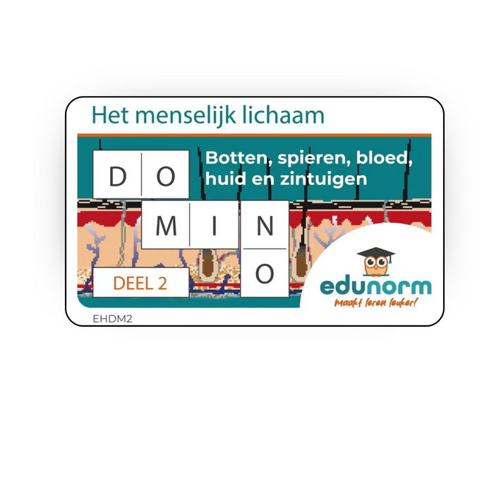 Dominospel Het Menselijk Lichaam Deel 2