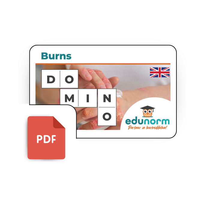 Digitaal Dominospel Burns (Engels)