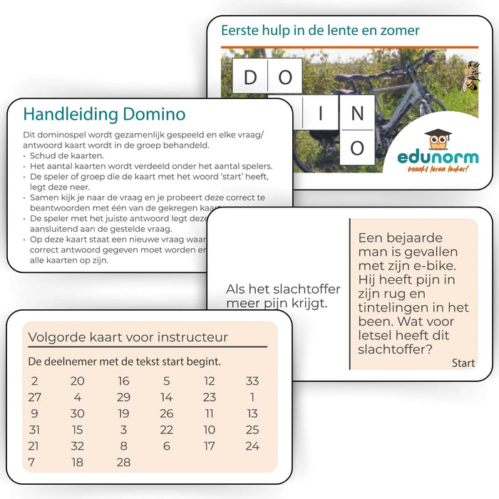 Dominospel Eerste Hulp in de Lente en Zomer