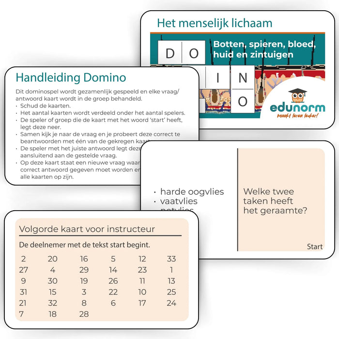 Dominospel Het Menselijk Lichaam Deel 2