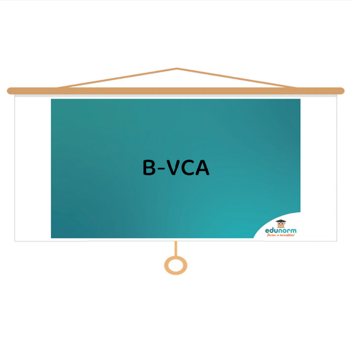 Basisveiligheid (B-VCA) - Presentatie ETT 3.0