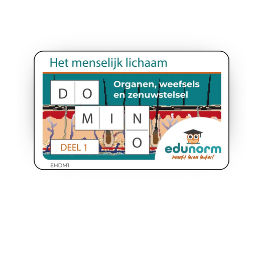 Dominospel Het Menselijk Lichaam Deel 1