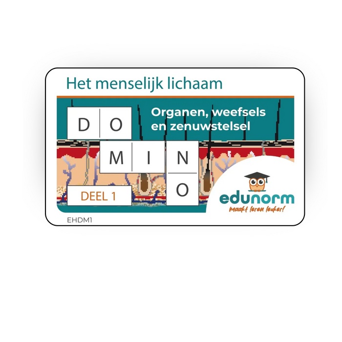Dominospel Het Menselijk Lichaam Deel 1