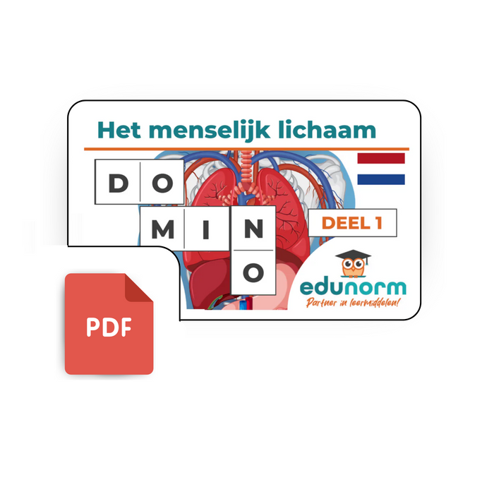 Dominospel Het Menselijk Lichaam Deel 1