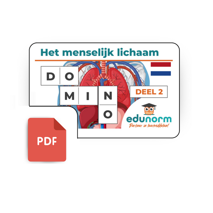 Dominospel Het Menselijk Lichaam Deel 2
