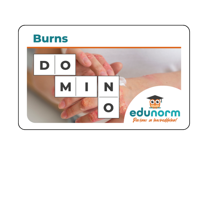 Digitaal Dominospel Burns (Engels)