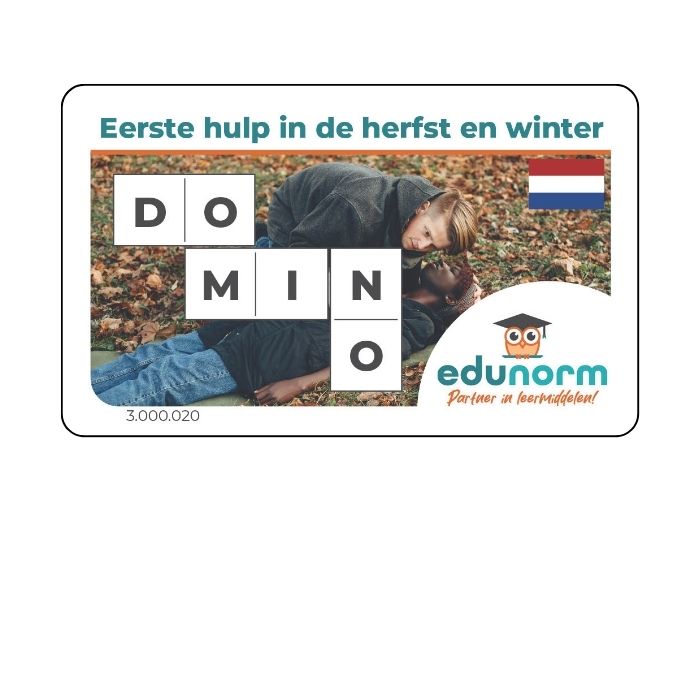 Voorkant van het digitaal dominospel Eerste Hulp in de Herfst en Winter