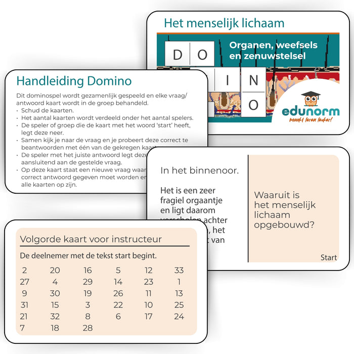 Dominospel Het menselijk lichaam Deel 1