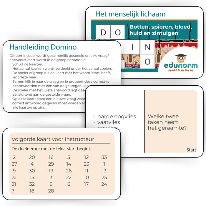 Dominospel Het menselijk lichaam Deel 2