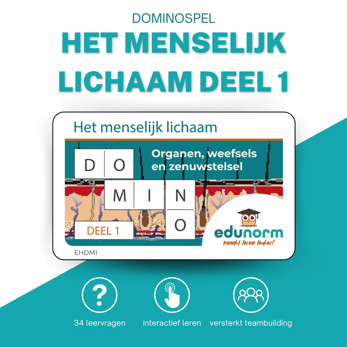 Dominospel Het menselijk lichaam Deel 1