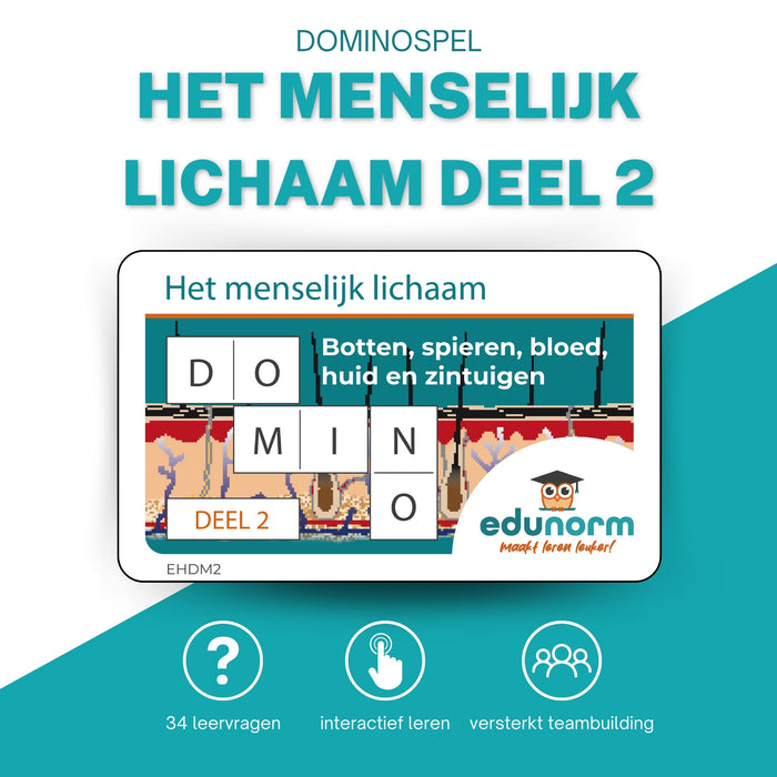 Dominospel Het menselijk lichaam Deel 2